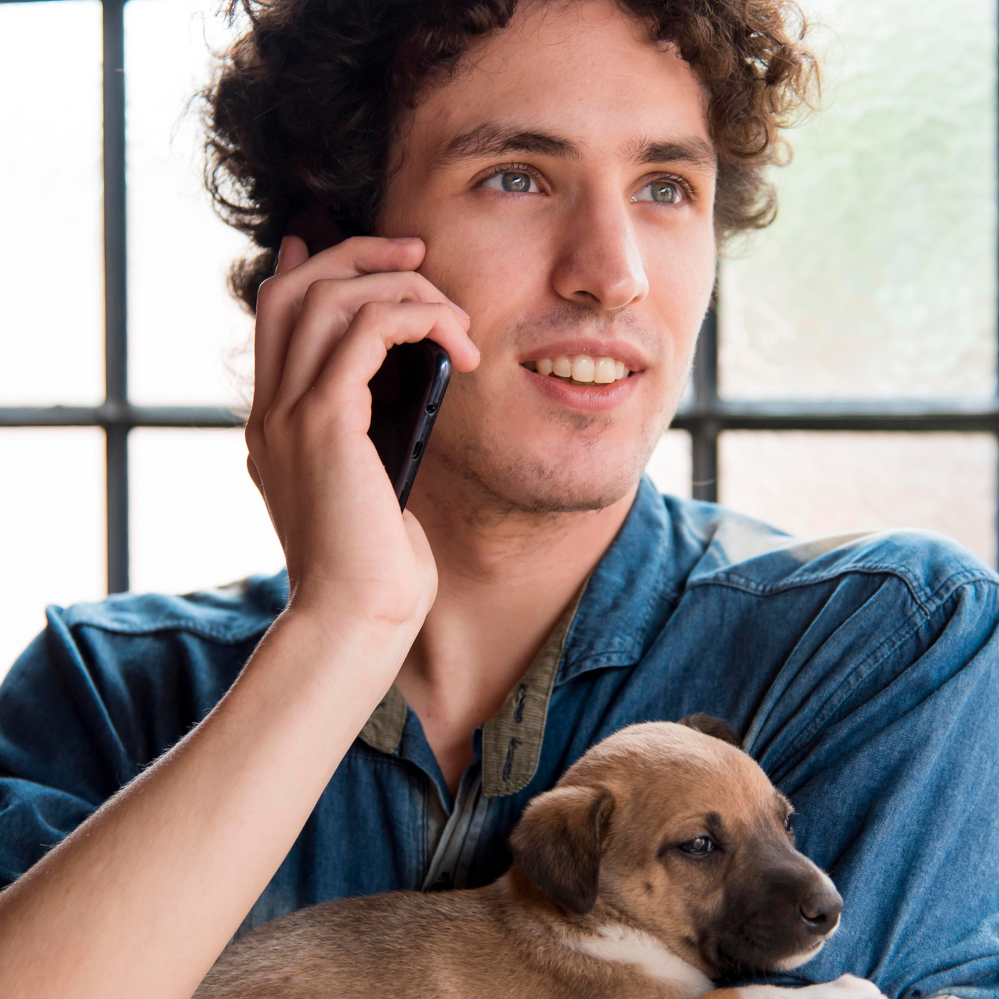 Pet parent using PawLight Therapy at home