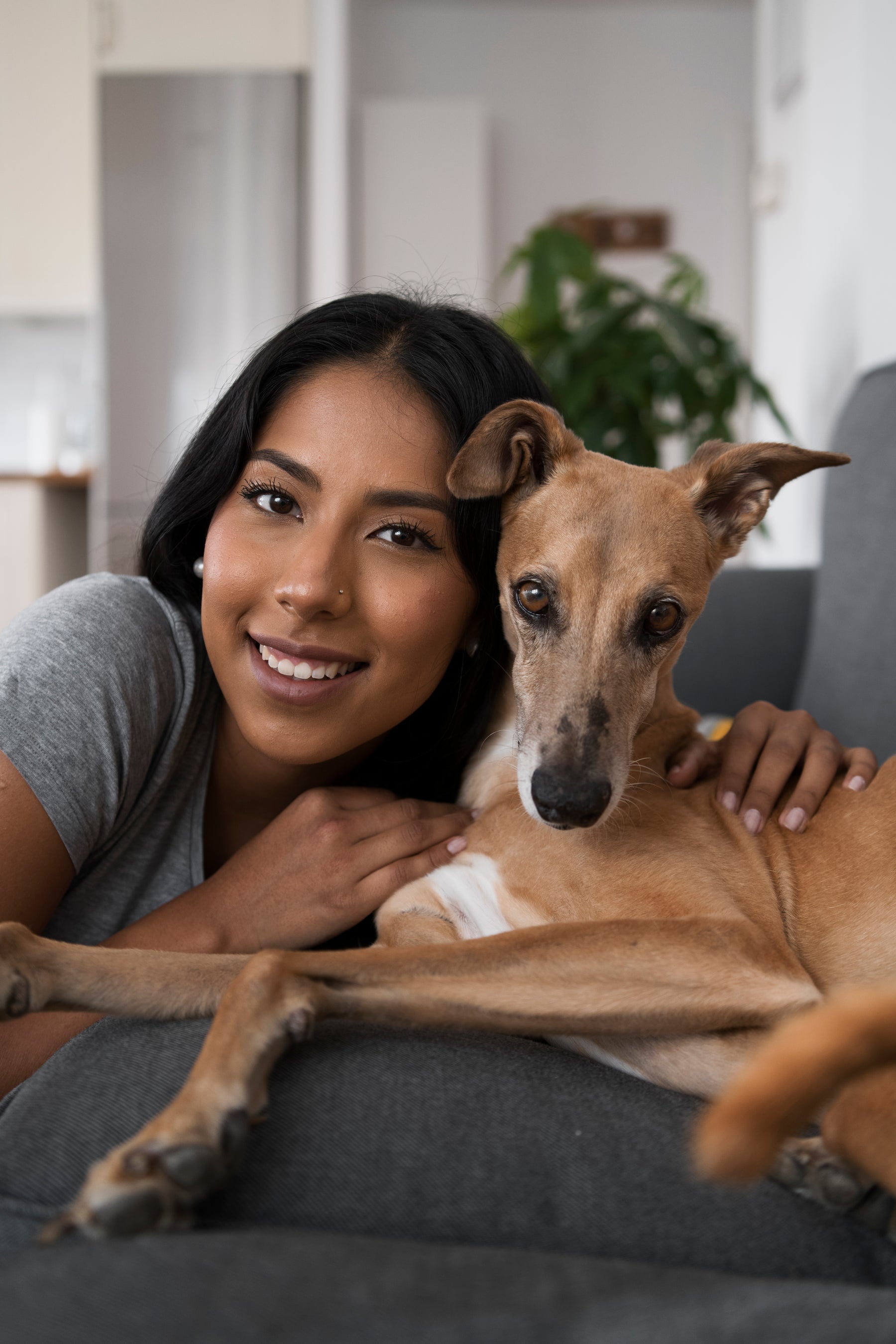 PawLight Therapy FAQ image